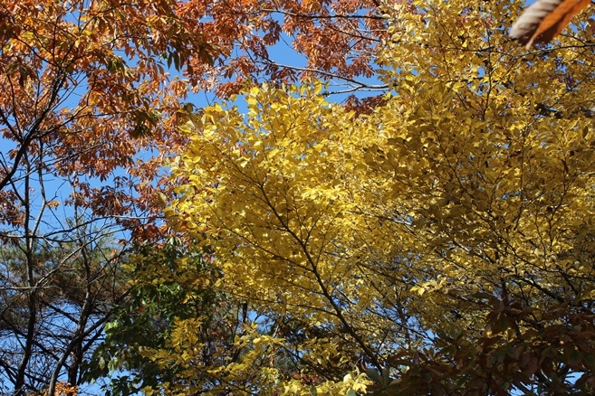 e0239458_22302539.jpg