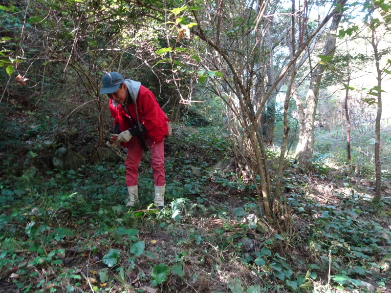 c0108460_18083410.jpg