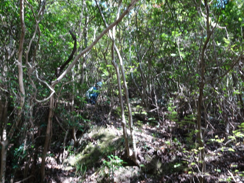 c0108460_18093790.jpg