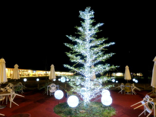 f0236260_22341604.jpg
