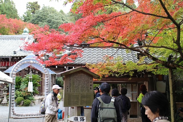 平日ウオーク「晩秋の洛北紅葉ウオーク」_b0044663_14582494.jpg