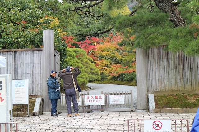 平日ウオーク「晩秋の洛北紅葉ウオーク」_b0044663_151294.jpg