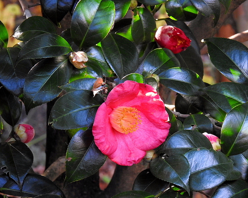 c0305565_17553322.jpg