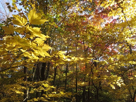 f0302771_1919213.jpg
