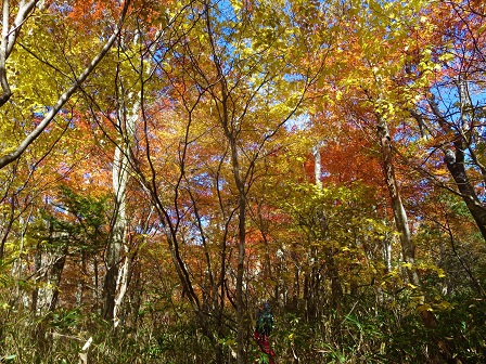 f0302771_19223584.jpg