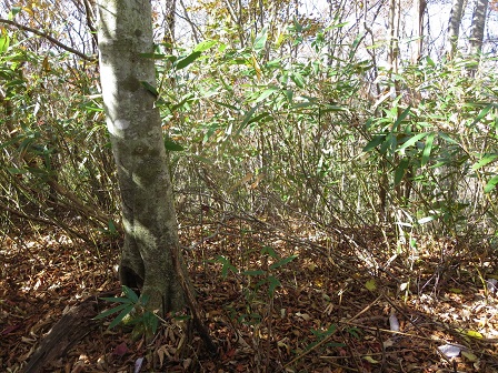 f0302771_19224232.jpg