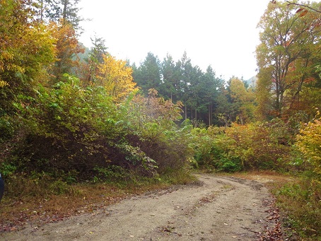 f0302771_1934442.jpg