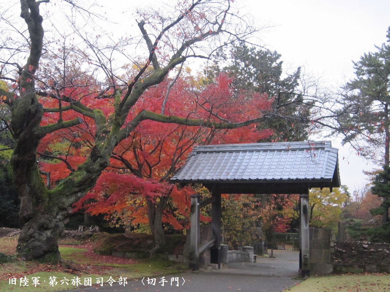 a0207574_23115051.jpg