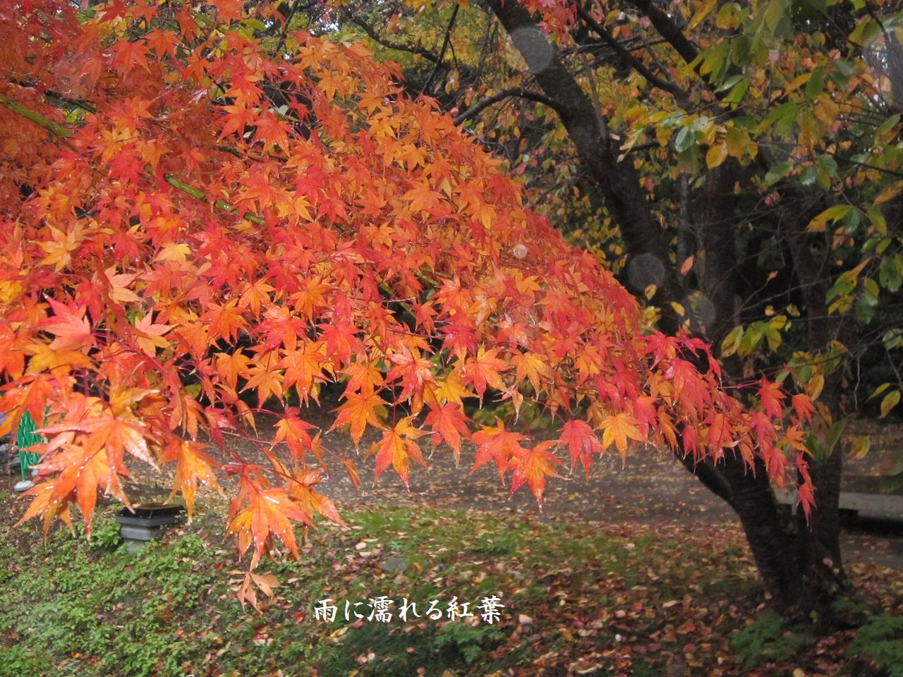 a0207574_23121127.jpg