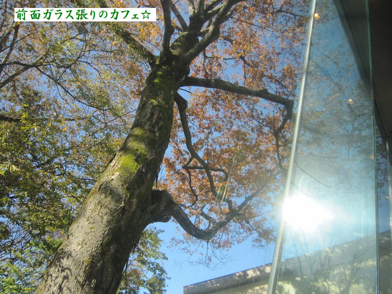 a0207574_2322157.jpg