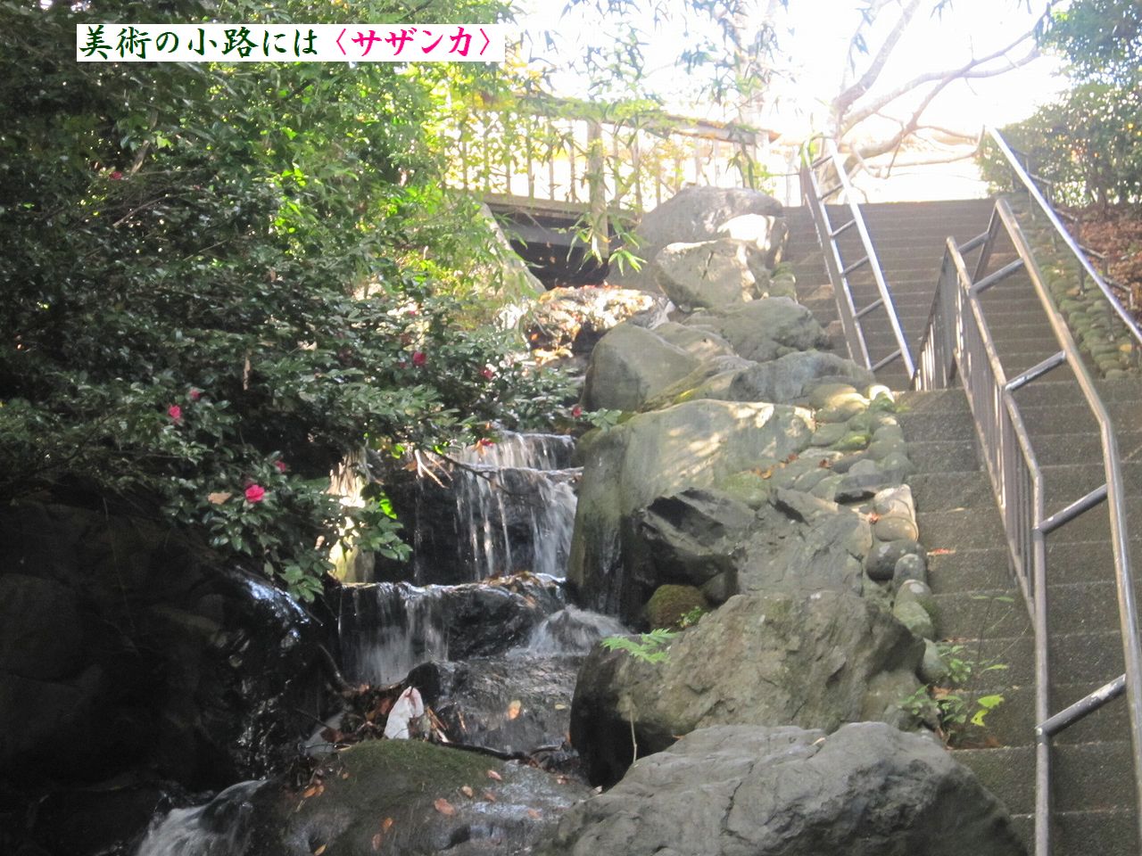 a0207574_23231933.jpg