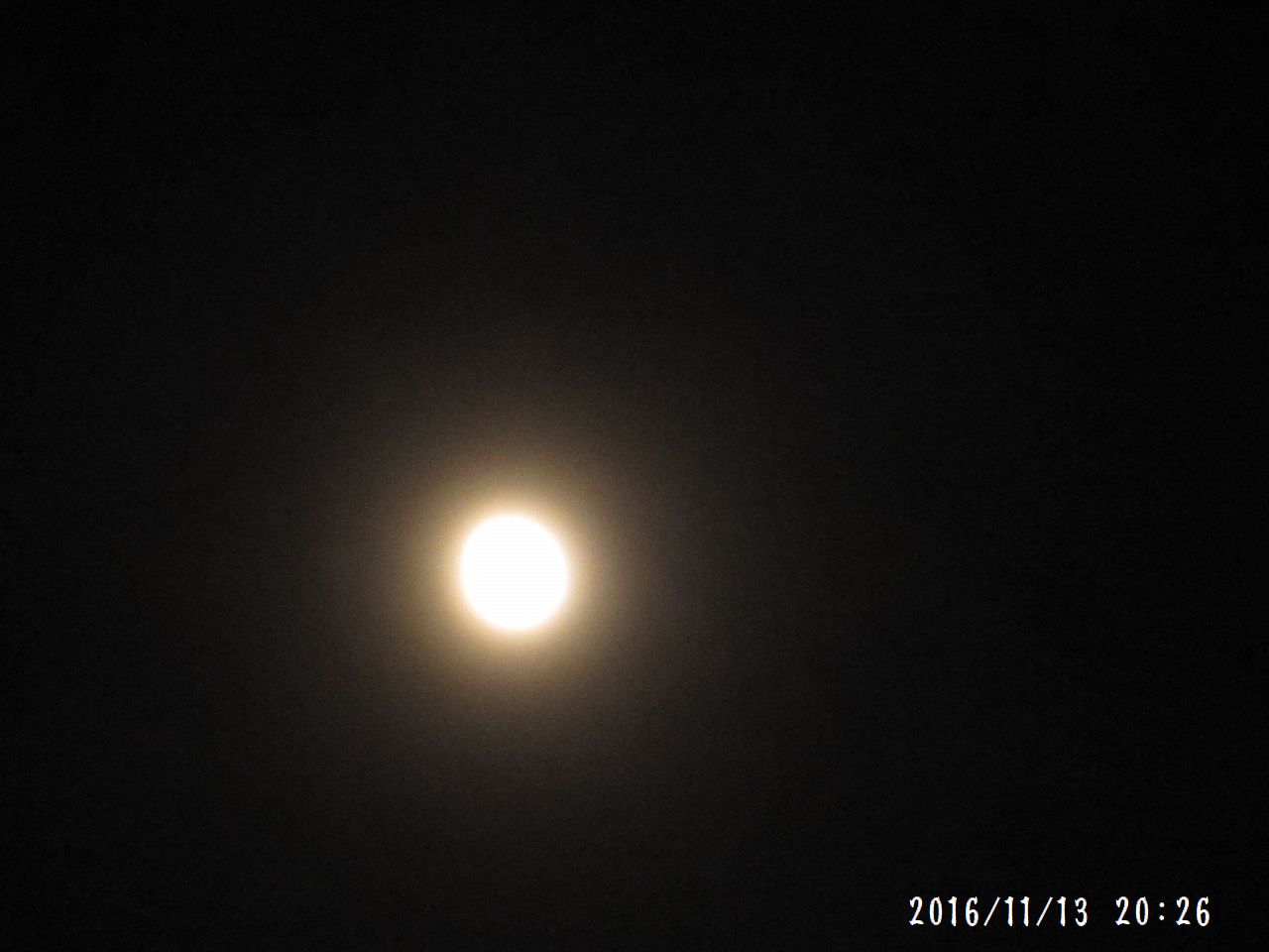 a0207574_232535100.jpg