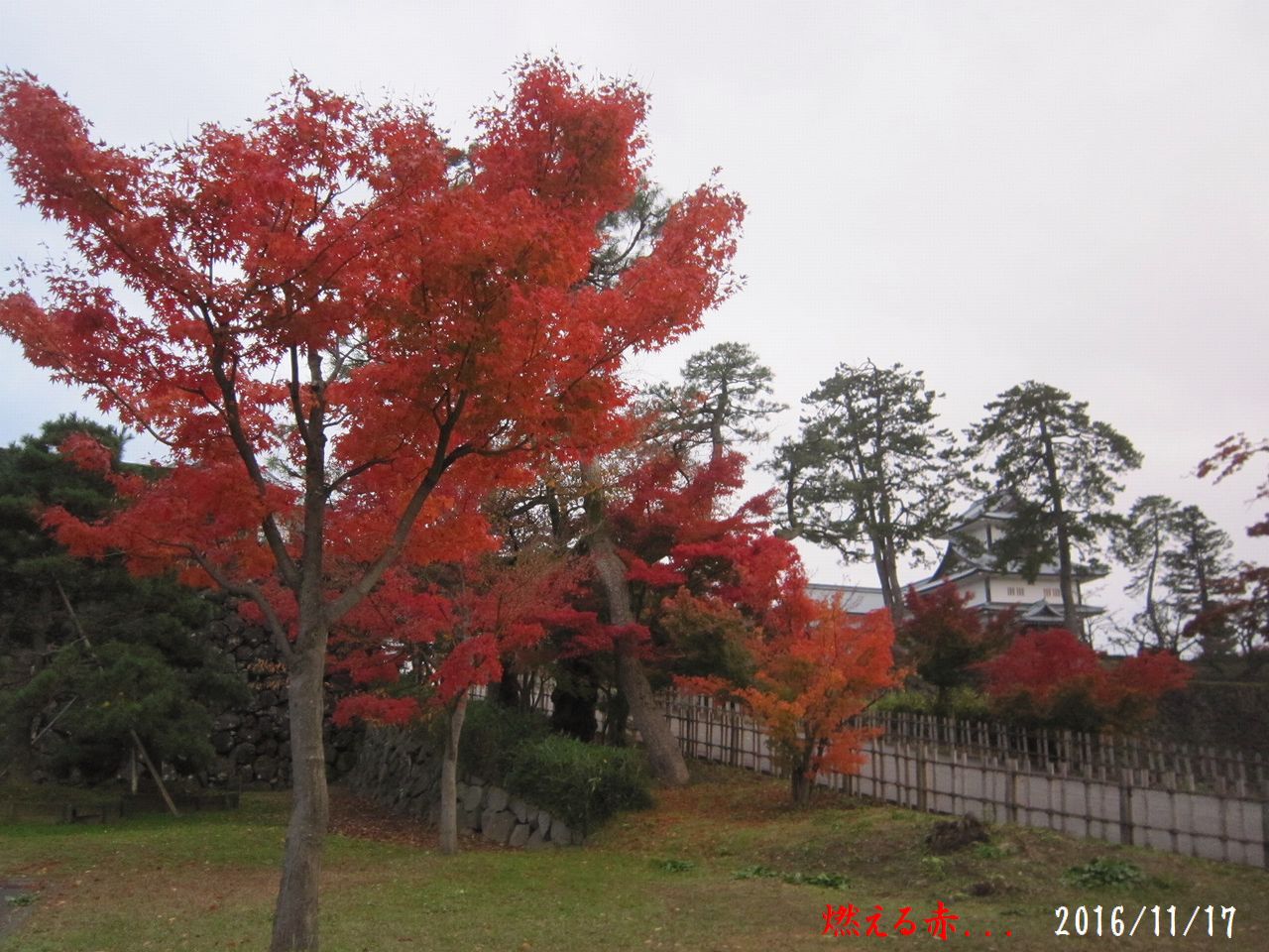 a0207574_2372852.jpg