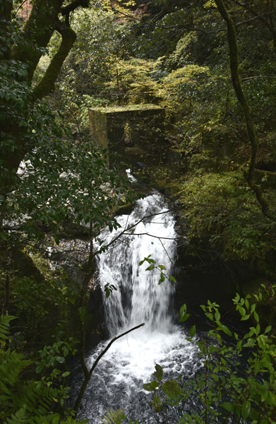 e0064375_10301683.jpg
