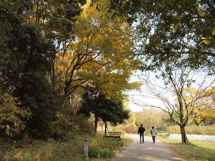 『木曽川水園秋風景・・・・・』_d0054276_20414186.jpg