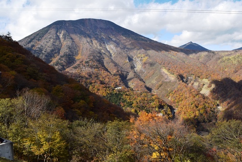 b0032079_2315320.jpg