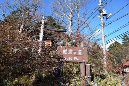 b0032079_23271131.jpg