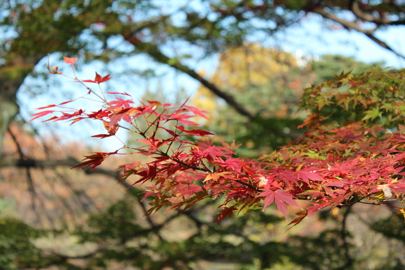 b0206384_17232431.jpg