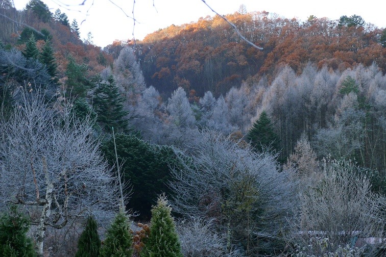 a0130586_8565717.jpg