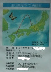 f0064397_16155827.jpg