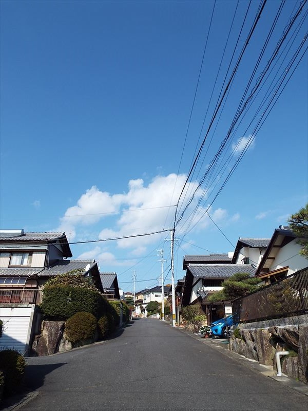 c0108198_17563696.jpg