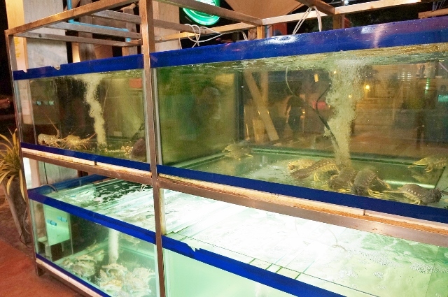 d0337598_23205647.jpg