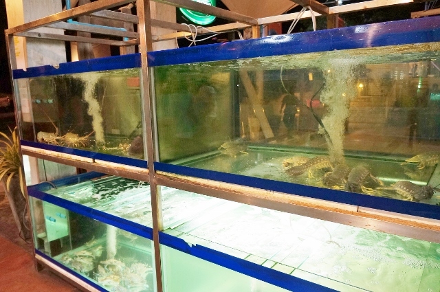 サムイ＆バンコク旅行記⑬TARUA SAMUI SEAFOODでディナーよ_d0337598_23205647.jpg