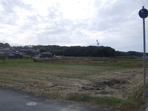 d0240201_17373206.jpg