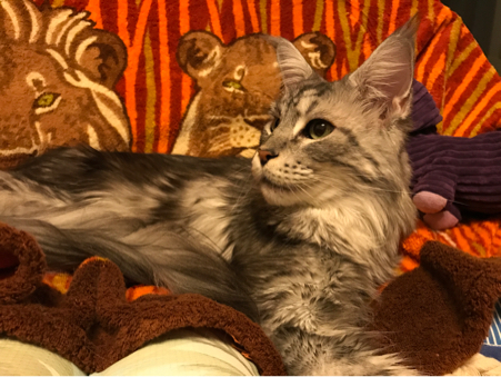 d0335701_00511657.jpg