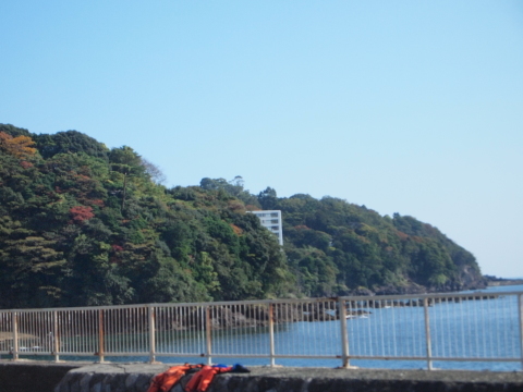 秋のお出かけ･･･････神奈川_b0331802_16483081.jpg