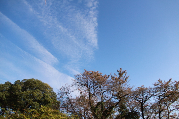 d0248502_21395286.jpg
