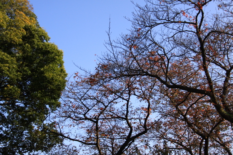 d0248502_21400937.jpg