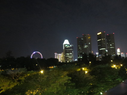 寝る前のプール ♪ 来年のNational Dayの花火どこで見る？_c0212604_17501359.jpg