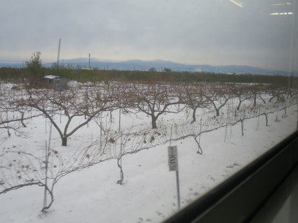 東北弾丸旅行まとめ編2「五所川原~弘前~大館~鷹ノ巣」_c0212604_645590.jpg