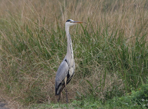 d0230507_801710.jpg