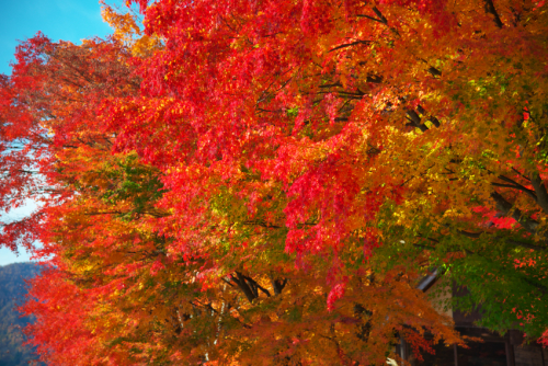 a0263109_15573008.jpg