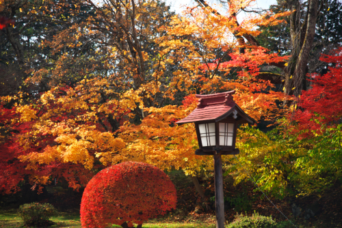 河口湖　富士ビューホテルの庭園の紅葉1_a0263109_19533621.jpg