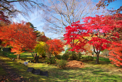 河口湖　富士ビューホテルの庭園の紅葉1_a0263109_19534144.jpg