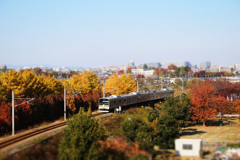 b0353411_00551061.jpg