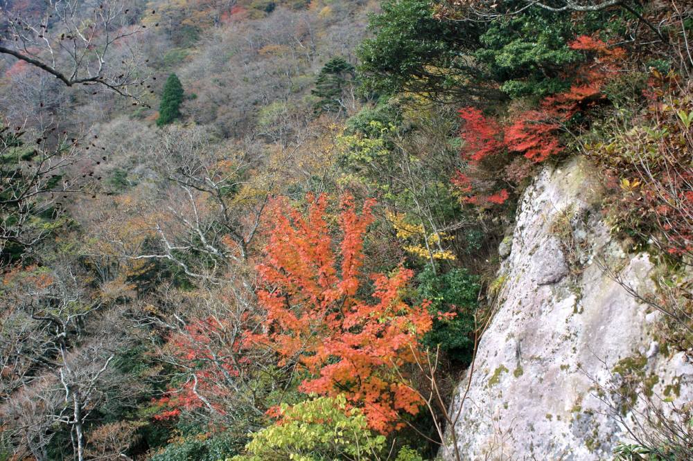 英彦山の紅葉は見頃_f0212511_08405366.jpg