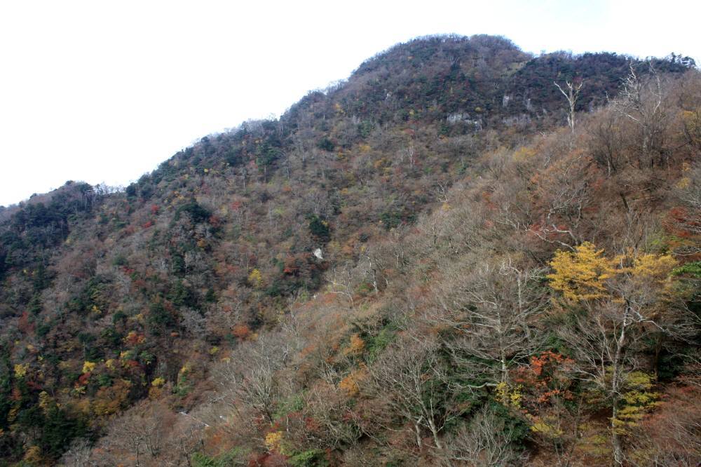 英彦山の紅葉は見頃_f0212511_08424483.jpg