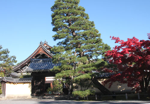 紅葉探訪11 等持院と仁和寺_e0048413_1919435.jpg