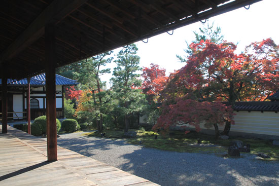 紅葉探訪11 等持院と仁和寺_e0048413_1920162.jpg