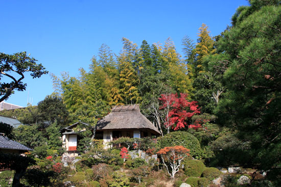 紅葉探訪11 等持院と仁和寺_e0048413_19202551.jpg