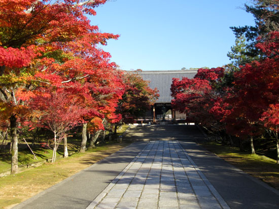 紅葉探訪11 等持院と仁和寺_e0048413_19213280.jpg