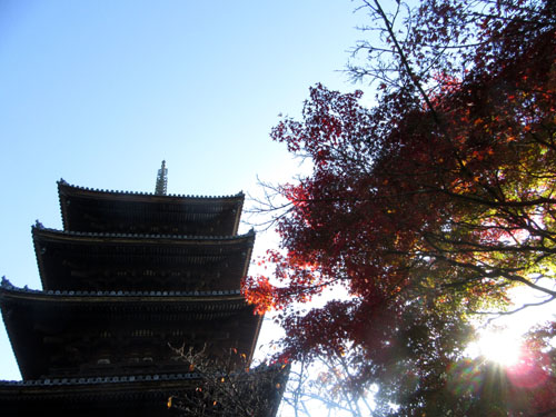 紅葉探訪11 等持院と仁和寺_e0048413_19215549.jpg