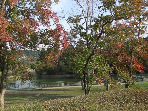 f0371014_16022530.jpg