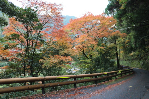 2016年馬路村の紅葉だより3_e0101917_16134545.jpg