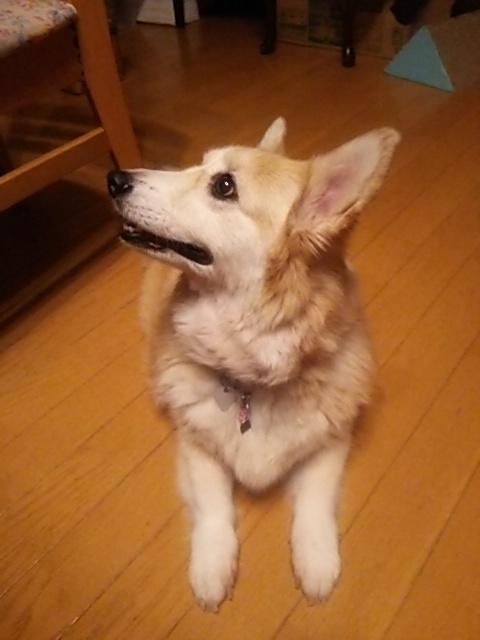 c0150520_054868.jpg