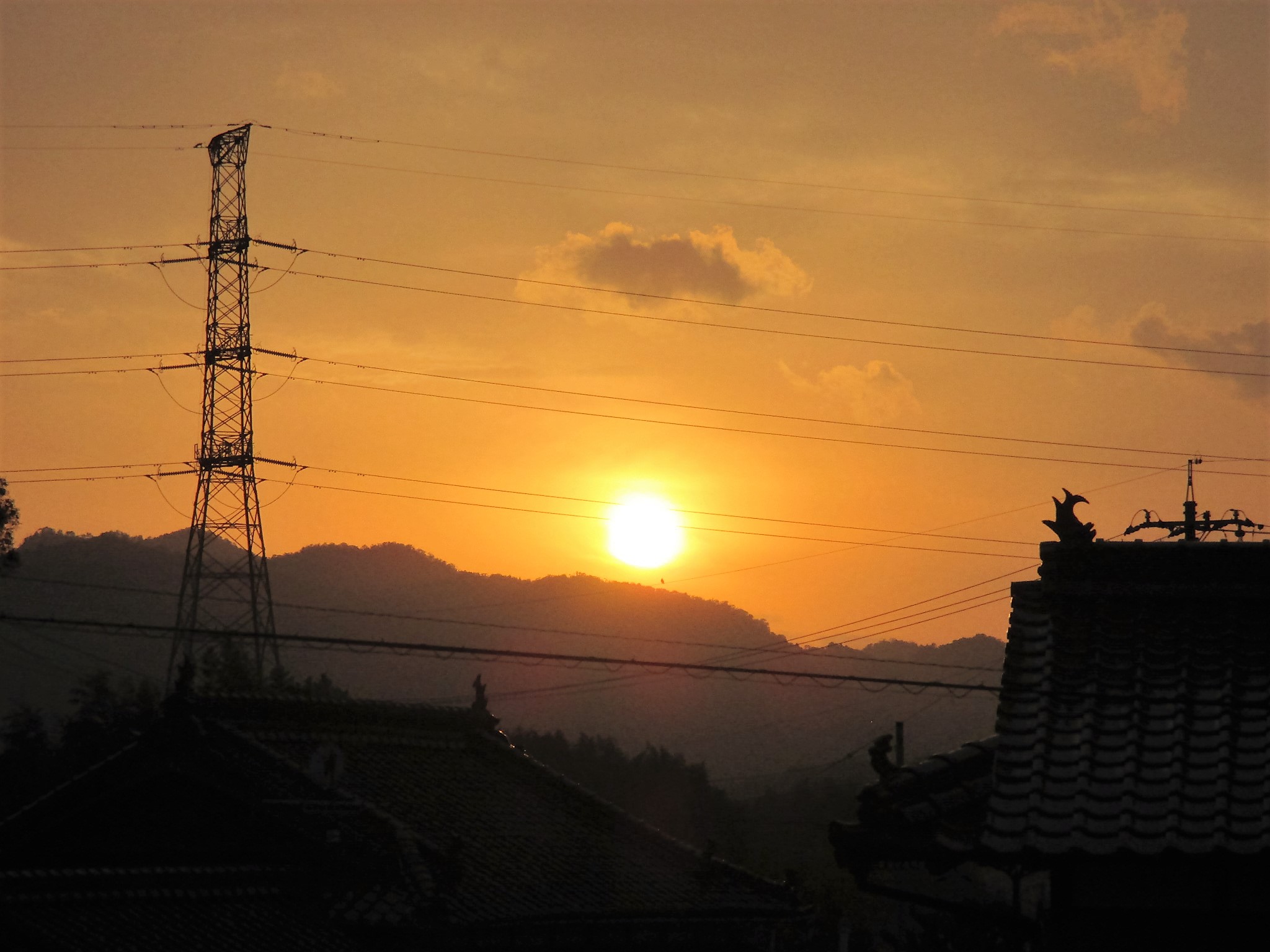 c0197220_83502.jpg
